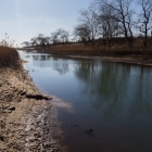 Amsterdamse Waterleidingduinen
