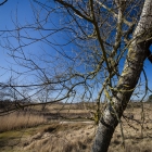 Amsterdamse Waterleidingduinen