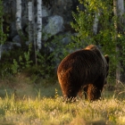 De laatste foto die ik kon maken :-)