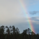 regenboog-bij-de-hut-7247