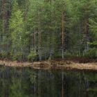 suomussalmi-kainuu-6373