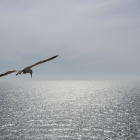 Land in zicht? - Oneindig uitzicht over zee