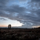 Wolkenlucht op het Kootwijkerzand