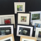 Onze kraam vol foto's van vogels en andere dieren