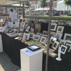 Onze kraam vol foto's van vogels en andere dieren