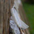 Bij de eendenkooi op het Naardermeer