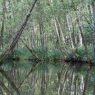 Sloot in het Naardermeer