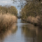 Met de fluisterboot door het Naardermeer