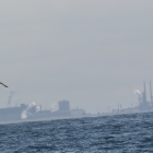 Deinend voor de kust van IJmuiden met op de achtergrond Tata Steel