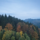 Uitzicht over het Grafenau Stuwmeer