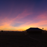 Zonsondergang bij tent op de Serengeti