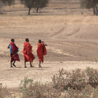 Tanzania - Masai