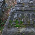 Vervallen graven op begraafplaats Landscroon in Weesp