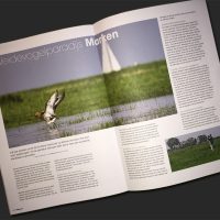 Vogels - Tijdschrift Vogelbescherming
