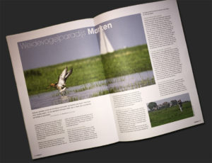 Vogels - Tijdschrift Vogelbescherming