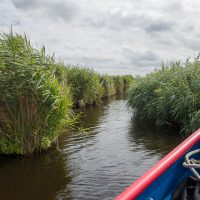 Ilperveld vanuit een fluisterboot
