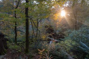 Zonsondergang in het Bayerischer Wald